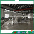 China Vegetable Fruit Drying Production Line